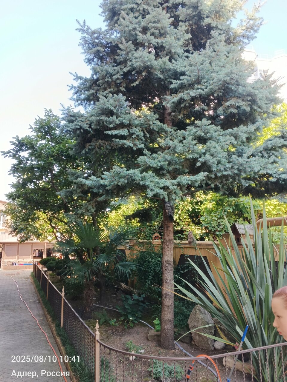 Гостиница Ключевой 9 Адлер-48