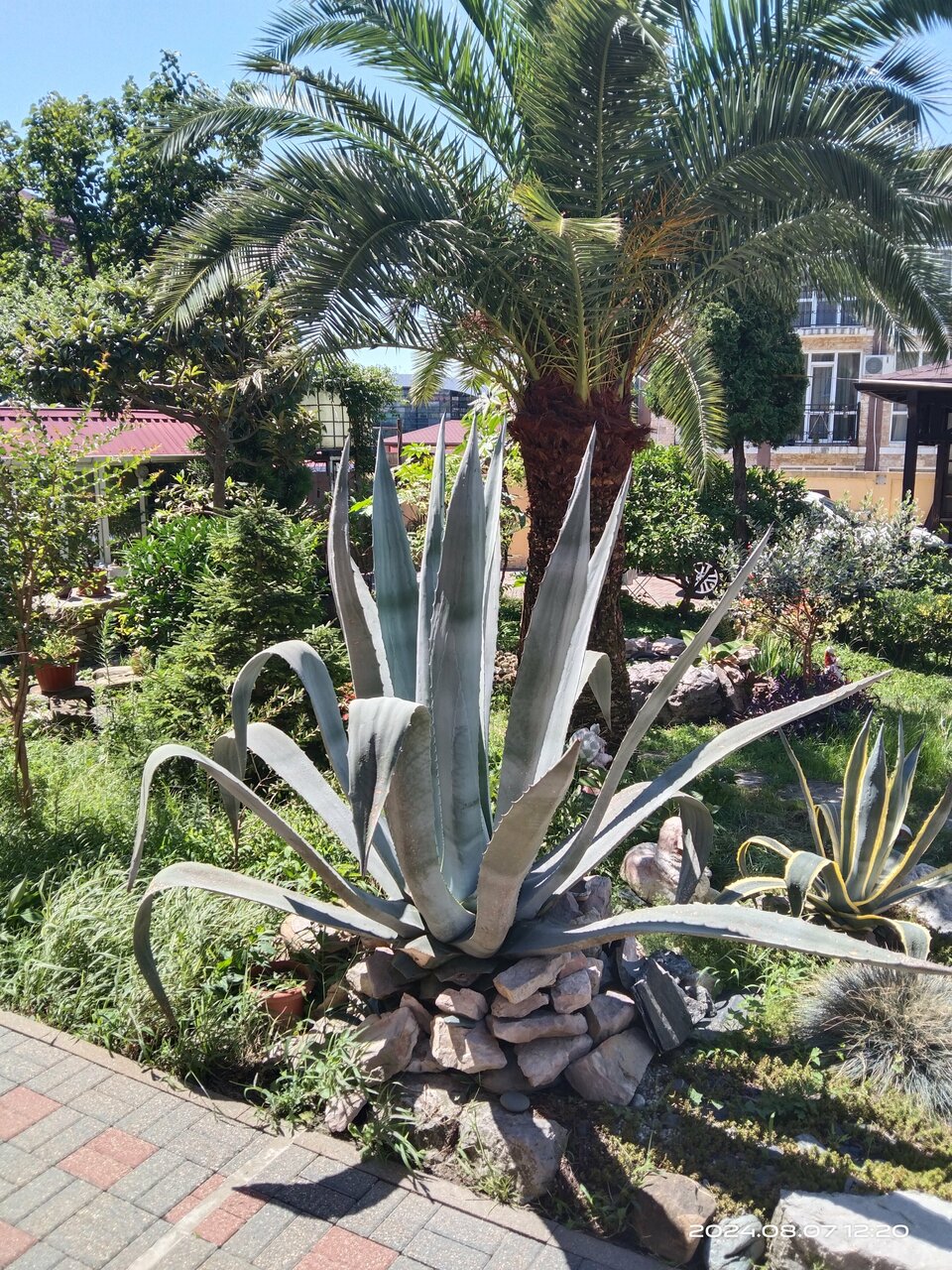 Гостиница Ключевой 9 Адлер-80