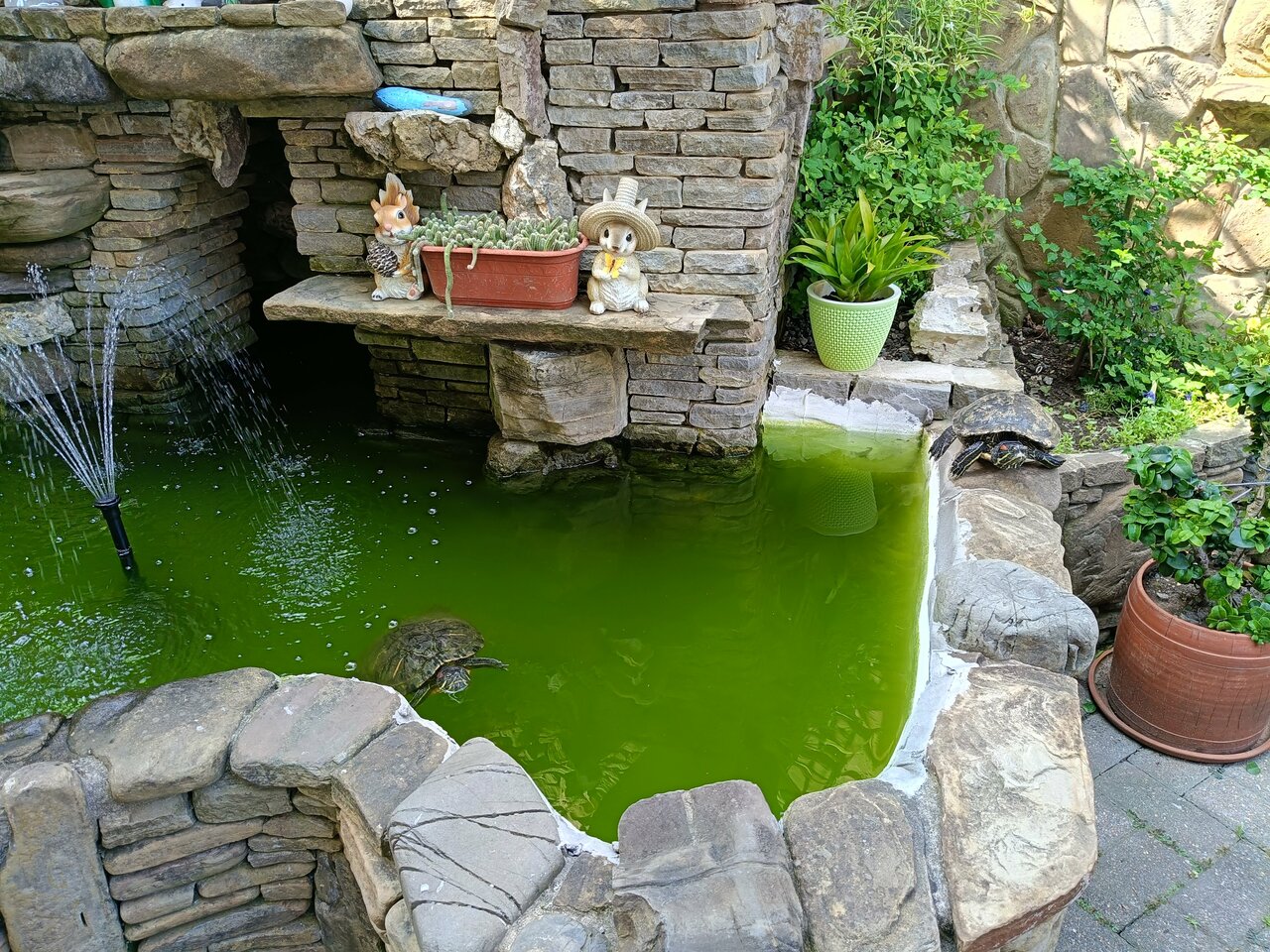 Гостиница Ключевой 9 Адлер-23