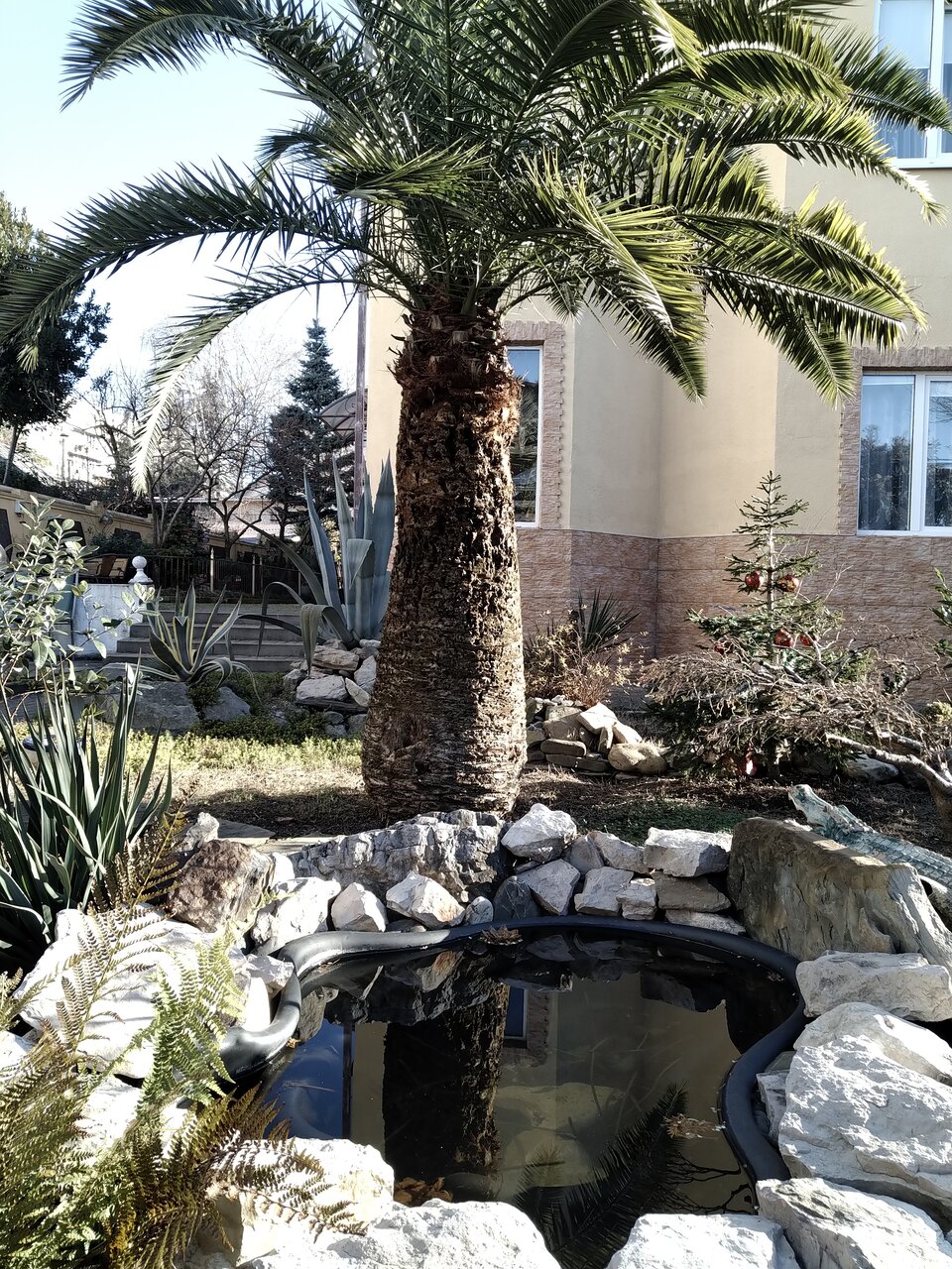 Гостиница Ключевой 9 Адлер-57