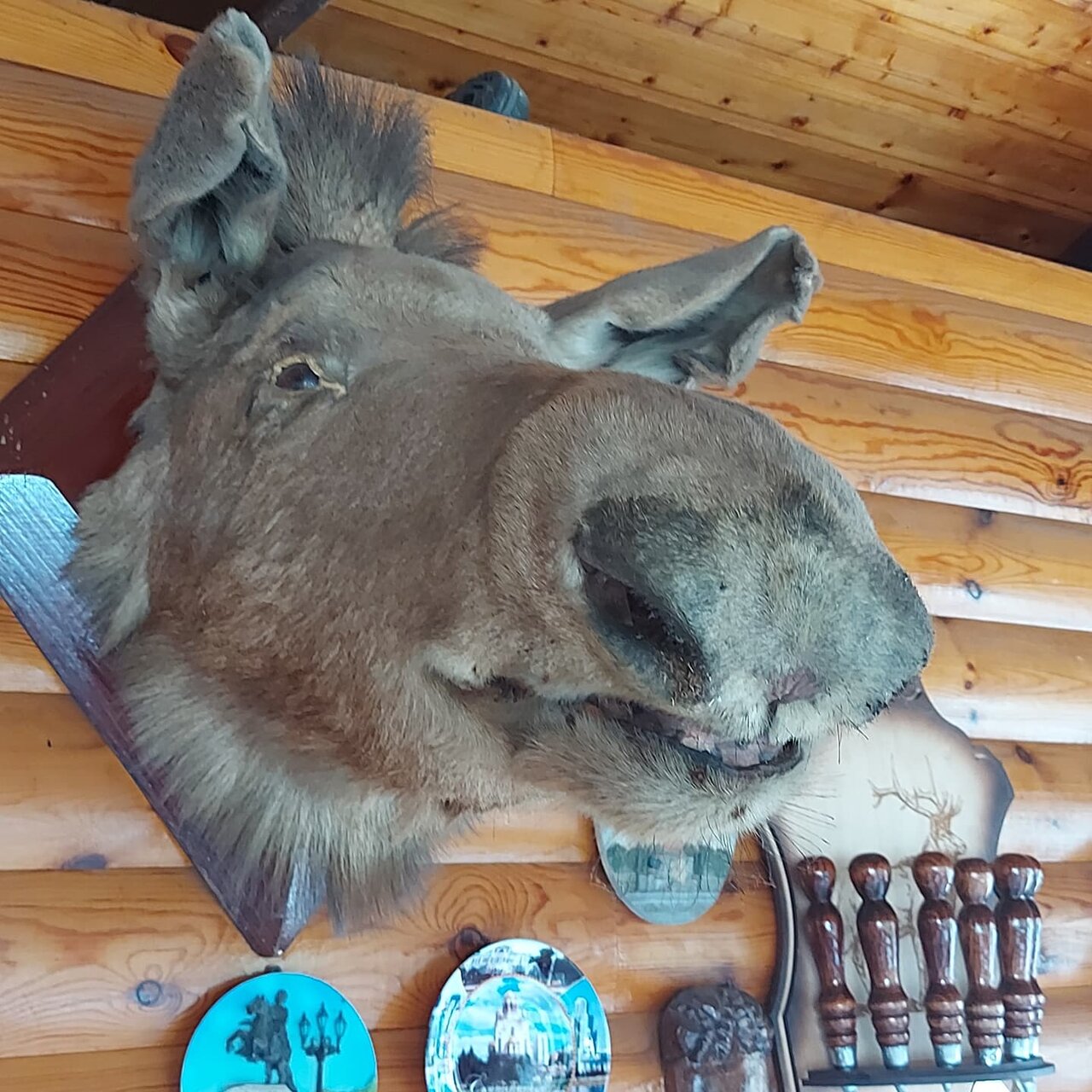 Гостиница Ключевой 9 Адлер-25