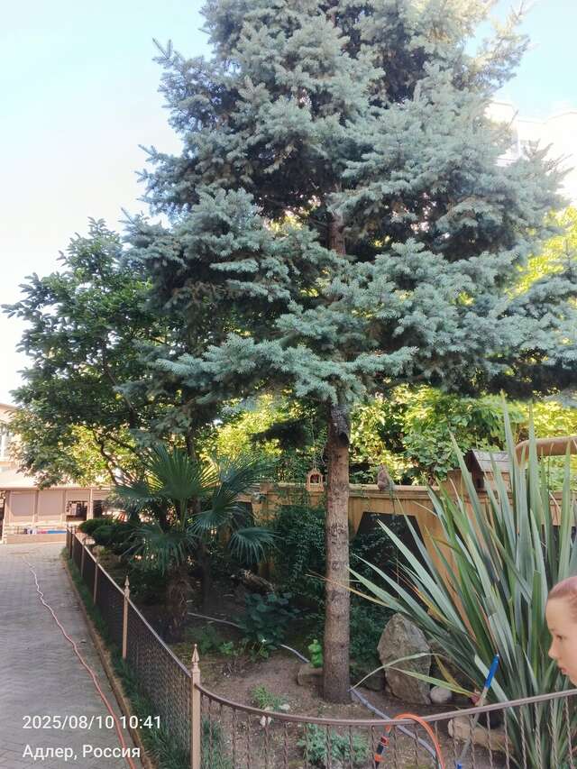 Гостиница Ключевой 9 Адлер-47