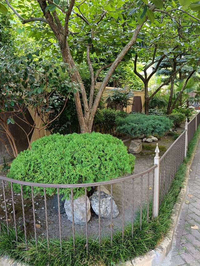 Гостиница Ключевой 9 Адлер-35