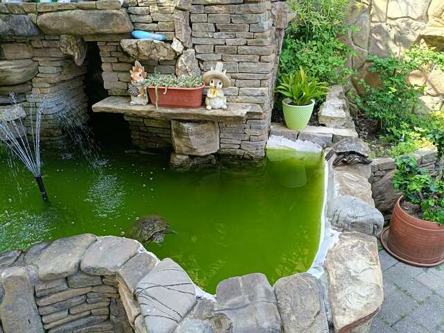 Гостиница Ключевой 9 Адлер-22