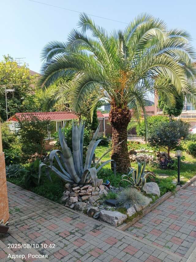 Гостиница Ключевой 9 Адлер-87