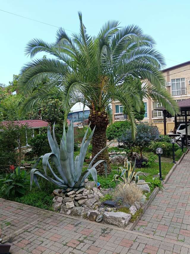 Гостиница Ключевой 9 Адлер-18